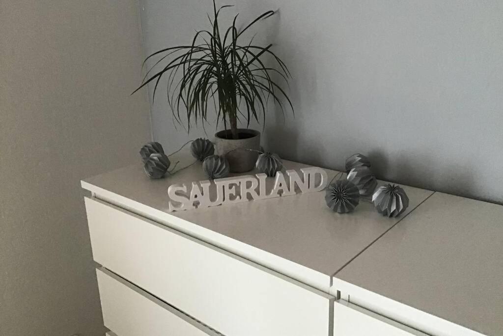 Ferienwohnung Sauerland 아텐도른 외부 사진